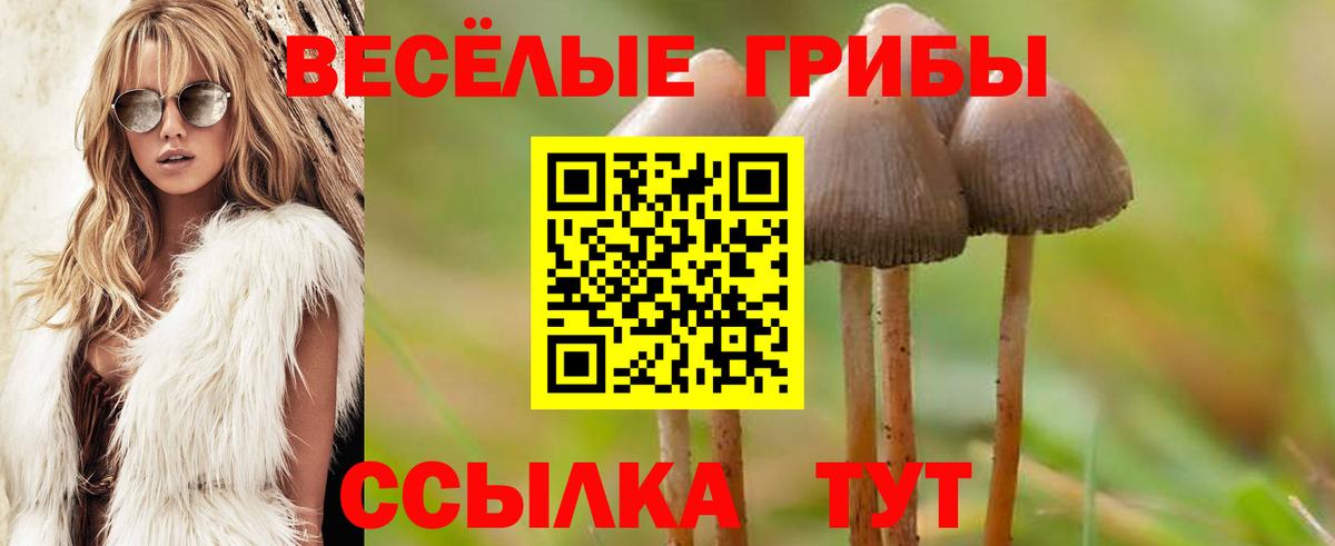 Галлюциногенные грибы мицелий Пенза