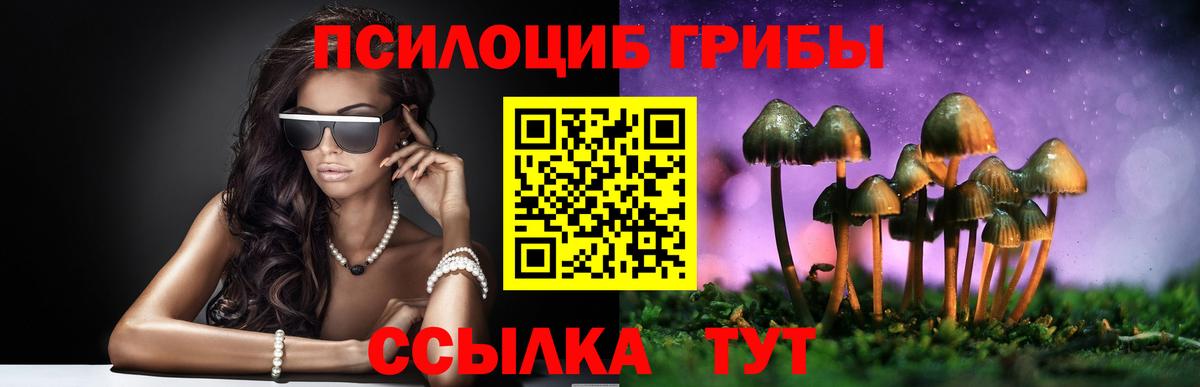 Пенза  Псилоцибиновые грибы Psilocybine cubensis  Галлюциногенные грибы мицелий  Вход с VPN 